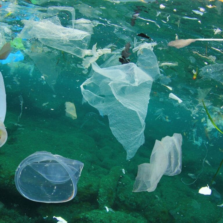 Plastic ocean pollution. Underwater bags, bottles, cups, straws and ear buds